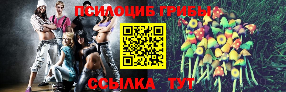 Псилоцибиновые грибы Psilocybe Сорочинск